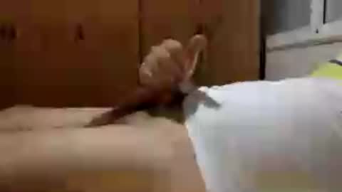 Handsome Cock online show from 07/30/26, 10:53