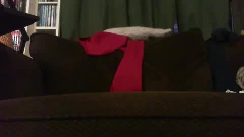 longlorne online show from 11/18/25, 04:28