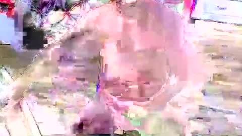 look4fun316 online show from 11/04/25, 01:48