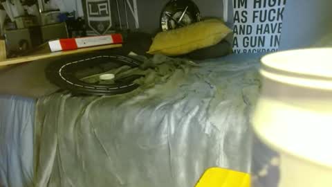 lookwhaticand0 online show from 02/03/25, 06:49