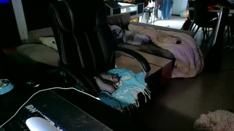 Mato online show from 06/02/26, 04:09