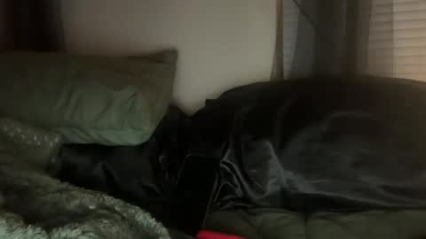 Lottiepoppie online show from 01/03/25, 11:03