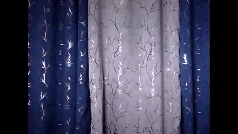 Riva online show from 11/30/25, 12:20