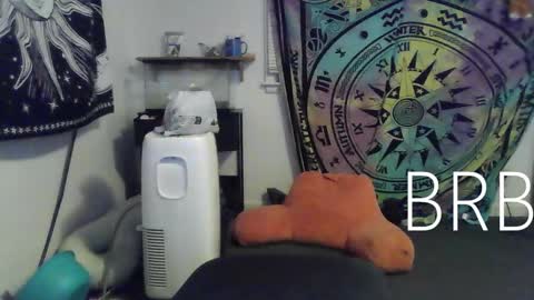 Bigtitsgirl113 online show from 01/18/25, 12:46