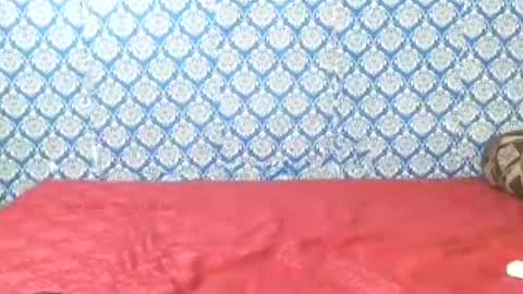 Divya online show from 07/22/26, 12:35