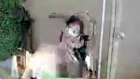 kimmy online show from 07/13/26, 07:33