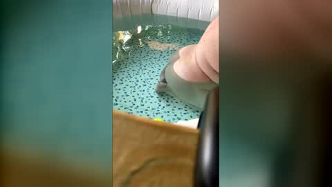 lovelyladyflaccid online show from 06/09/26, 10:32