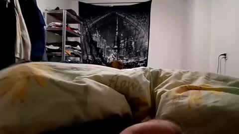 Snapshot of loveslick583698 chatting on 12/23/24, 05:28 Lovetlick online show from 12/23/24, 05:28