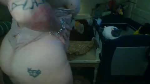 Snapshot of lovetubes101 chatting on 10/03/25, 01:13 lovetubes101 online show from 10/03/25, 01:13