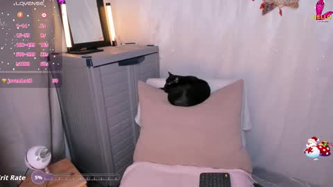 Danna online show from 12/03/25, 10:52