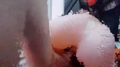 2096512345 online show from 02/13/25, 10:11