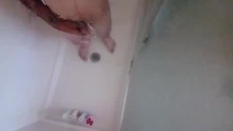 2096512345 online show from 10/12/25, 07:35