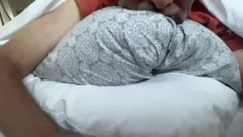 lqi online show from 09/16/25, 11:00