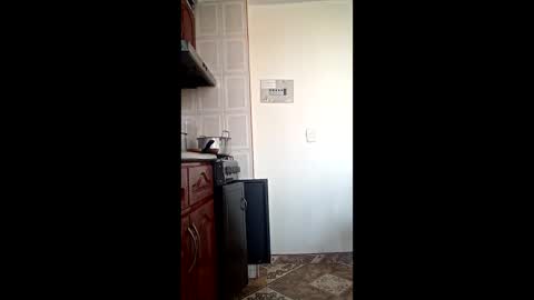 luana363 online show from 02/10/26, 03:27