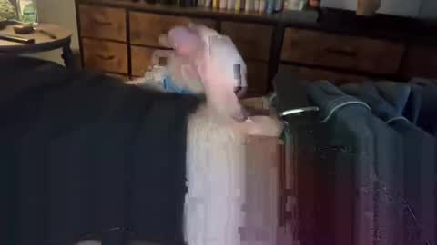 Snapshot of lubthemtitties chatting on 12/22/24, 08:49 lubthemtitties online show from 12/22/24, 08:49