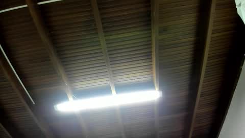 Snapshot of luca_morettii chatting on 11/05/25, 12:16 luca_morettii online show from 11/05/25, 12:16