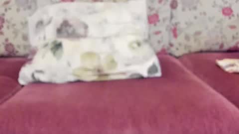 Mysterious Girl online show from 12/22/24, 08:49