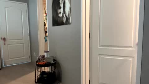 lucious_stace online show from 09/22/25, 03:47