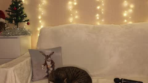 Katerina  online show from 12/25/24, 06:52