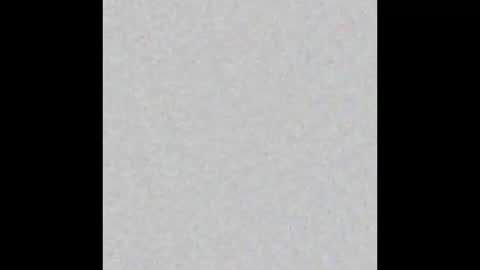 Alisa online show from 11/08/25, 09:20