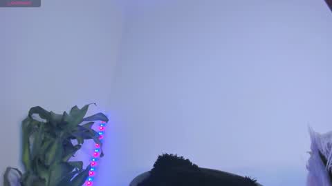 Snapshot of lucyshen_ chatting on 11/07/25, 01:16 luciana online show from 11/07/25, 01:16