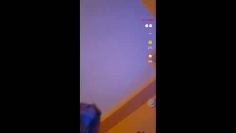 Snapshot of lucyvybes_and_gogert chatting on 11/18/25, 11:58 Lucy Vybes and Go-Gert online show from 11/18/25, 11:58