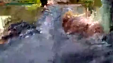 Snapshot of luis_hunk chatting on 10/22/25, 10:59 Andrew online show from 10/22/25, 10:59