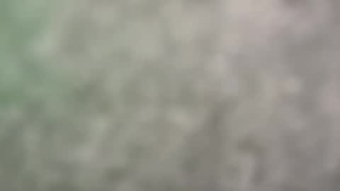 Harrison online show from 05/17/26, 07:21