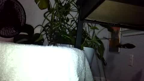 Luke online show from 08/04/26, 02:37