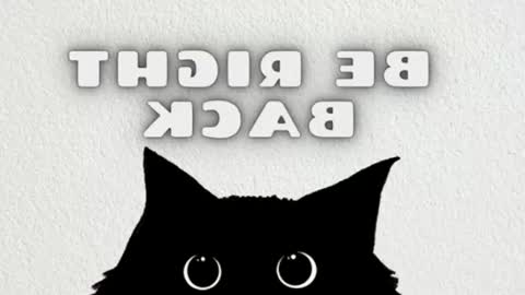 elizabeth online show from 06/22/26, 11:57
