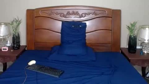 Snapshot of lulu_wild chatting on 10/10/25, 11:53 lulu_wild online show from 10/10/25, 11:53