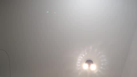 Ludo online show from 01/21/25, 10:30