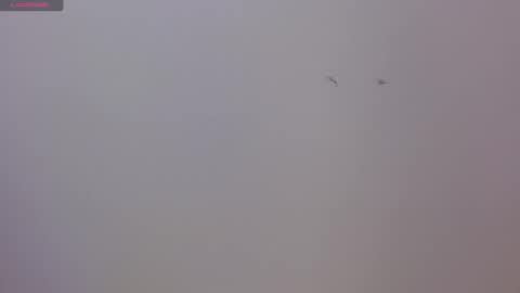 Luna and Rick online show from 11/17/25, 08:36