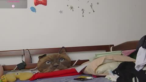 LUNA online show from 11/12/25, 06:41