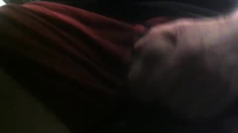 lunatica12 online show from 02/23/25, 06:17