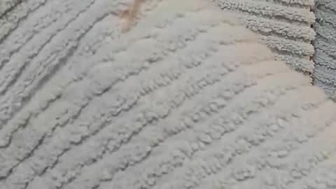 lustgardener67 online show from 12/15/24, 07:24