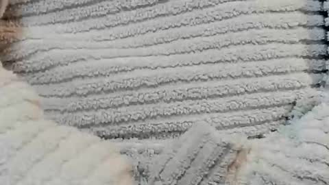 lustgardener67 online show from 12/15/24, 04:48