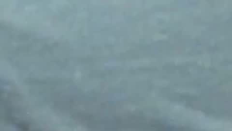 lustgardener67 online show from 01/27/25, 10:06