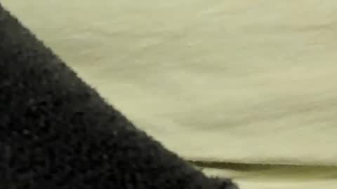 lustgardener67 online show from 01/27/25, 07:35