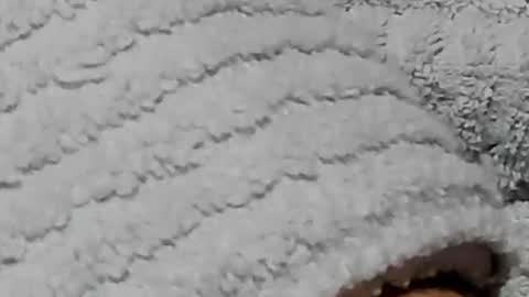 lustgardener67 online show from 02/03/25, 07:21