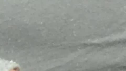 lustgardener67 online show from 02/04/25, 09:28