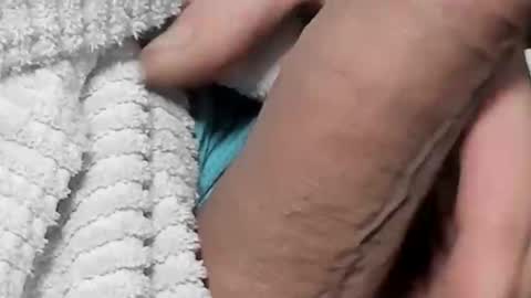 lustgardener67 online show from 02/04/25, 05:45