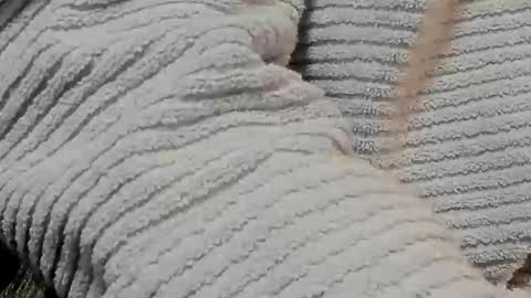 lustgardener67 online show from 02/09/25, 07:16