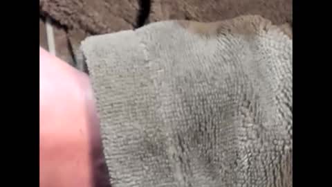 lustgardener67 online show from 03/04/25, 07:19