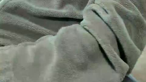 lustgardener67 online show from 10/07/25, 07:11