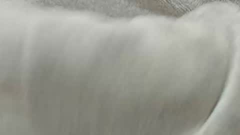 lustgardener67 online show from 11/08/25, 02:28