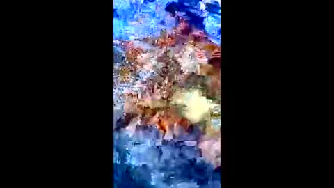 Snapshot of luvdezire chatting on 01/10/26, 08:54 Peter Jacksone online show from 01/10/26, 08:54