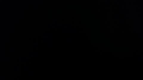 Lesly And Arnold online show from 11/04/25, 04:00