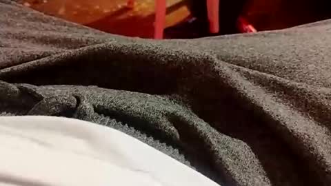 Snapshot of lvacd11 chatting on 12/21/24, 10:30 Lvac11 online show from 12/21/24, 10:30