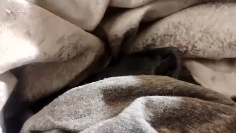 Snapshot of lvacd11 chatting on 01/22/25, 12:38 Lvac11 online show from 01/22/25, 12:38